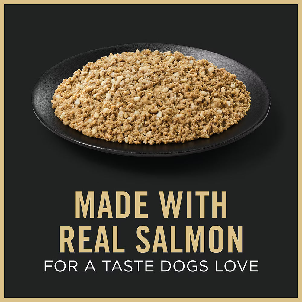 Purina Pro Plan Adult 7+ Sensitive Skin & Stomach Salmon & Rice Entrée Classic Wet Dog Food