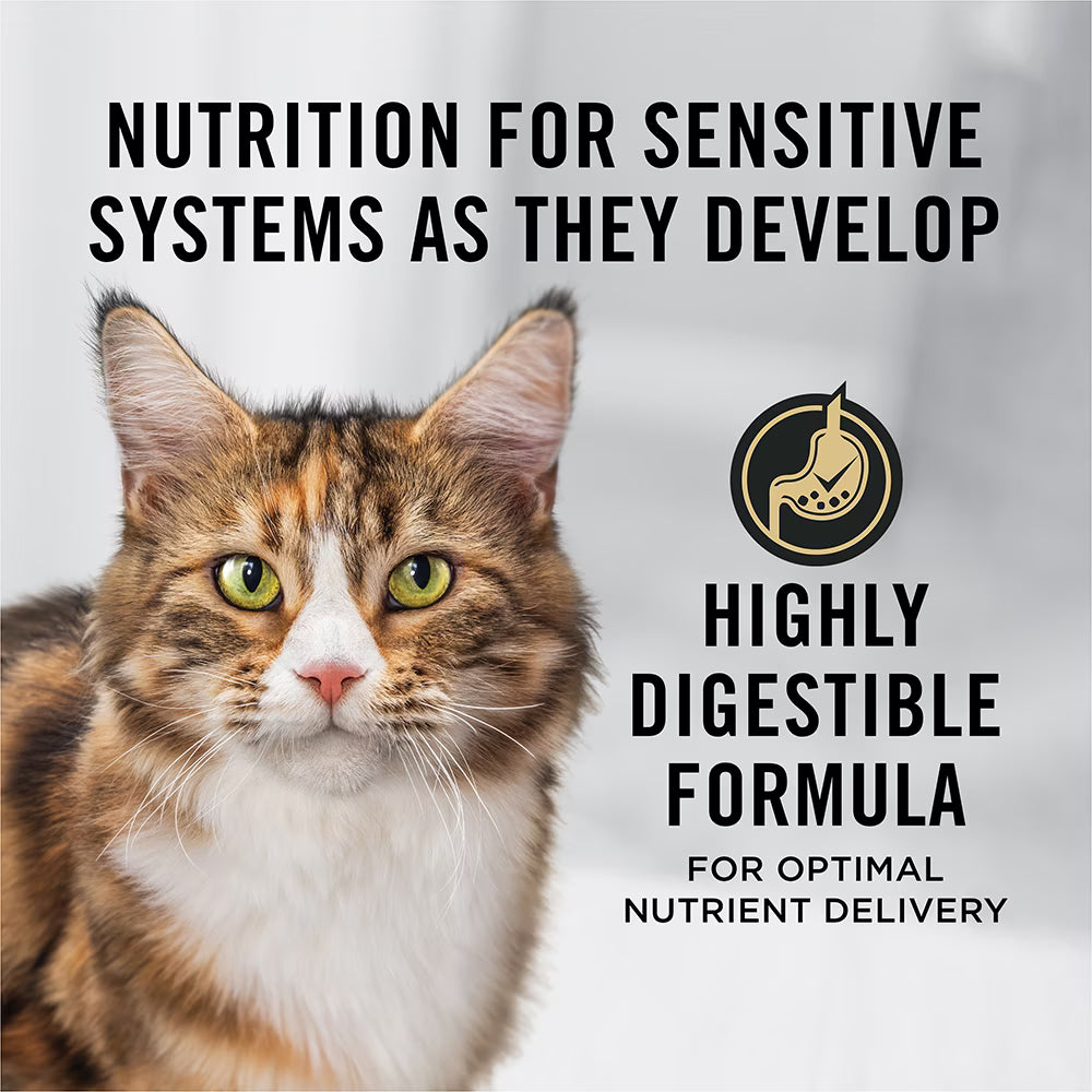 Purina Pro Plan Adult 7+ Sensitive Skin & Stomach Salmon & Rice Dry Cat Food
