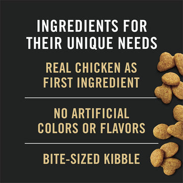 Purina Pro Plan Adult Indoor Chicken & Rice Formula Dry Cat Food