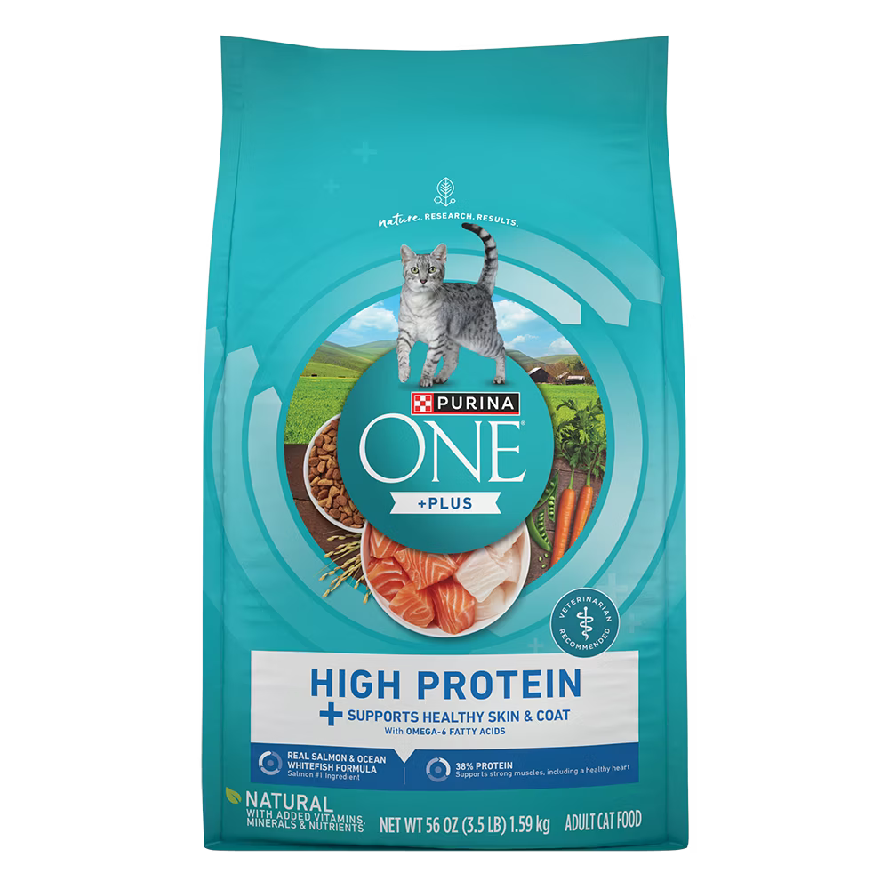 Purina ONE Plus High Protein Salmon & Ocean Whitefish Skin & Coat Health Dry Cat Food Formula