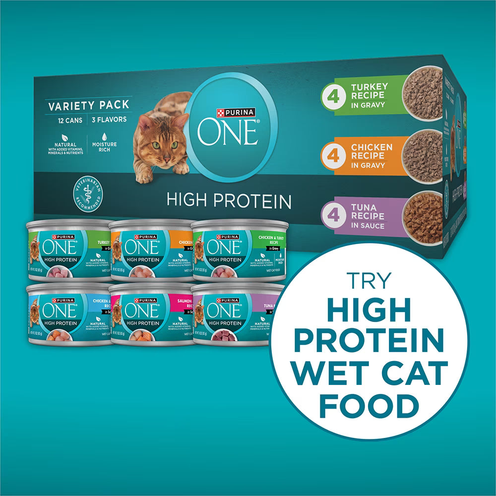 Purina ONE Plus High Protein Salmon & Ocean Whitefish Skin & Coat Health Dry Cat Food Formula
