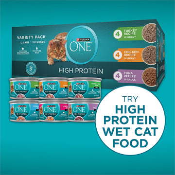 Purina ONE Plus High Protein Salmon & Ocean Whitefish Skin & Coat Health Dry Cat Food Formula