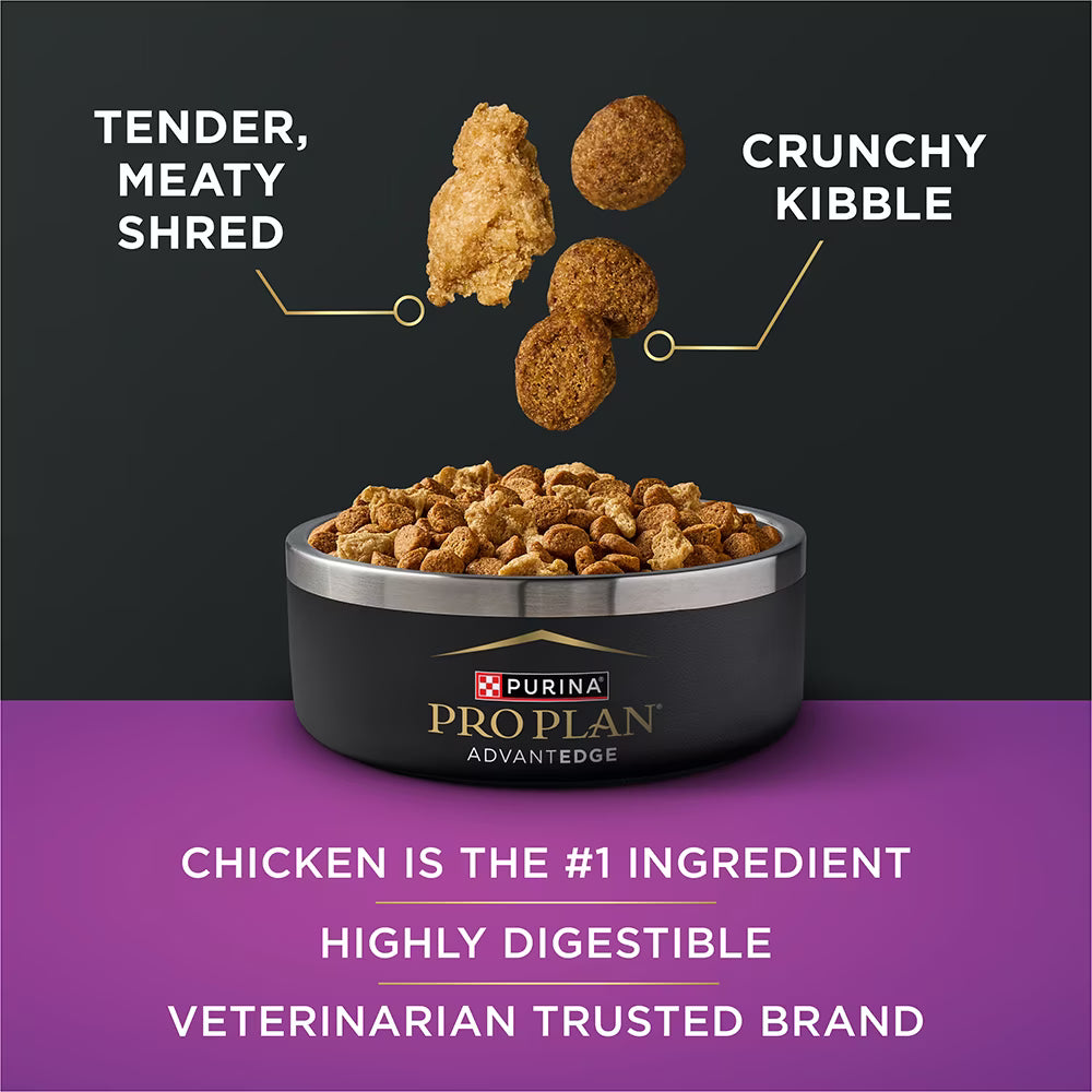 Pro Plan AdvantEDGE Adult 7+ Senior Support+ Shredded Blend Chicken & Rice Formula Dry Dog Food