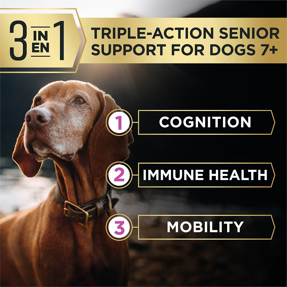 Pro Plan AdvantEDGE Small Breed Adult 7+ Senior Support+ Shredded Blend Chicken & Rice Formula Dry Dog Food