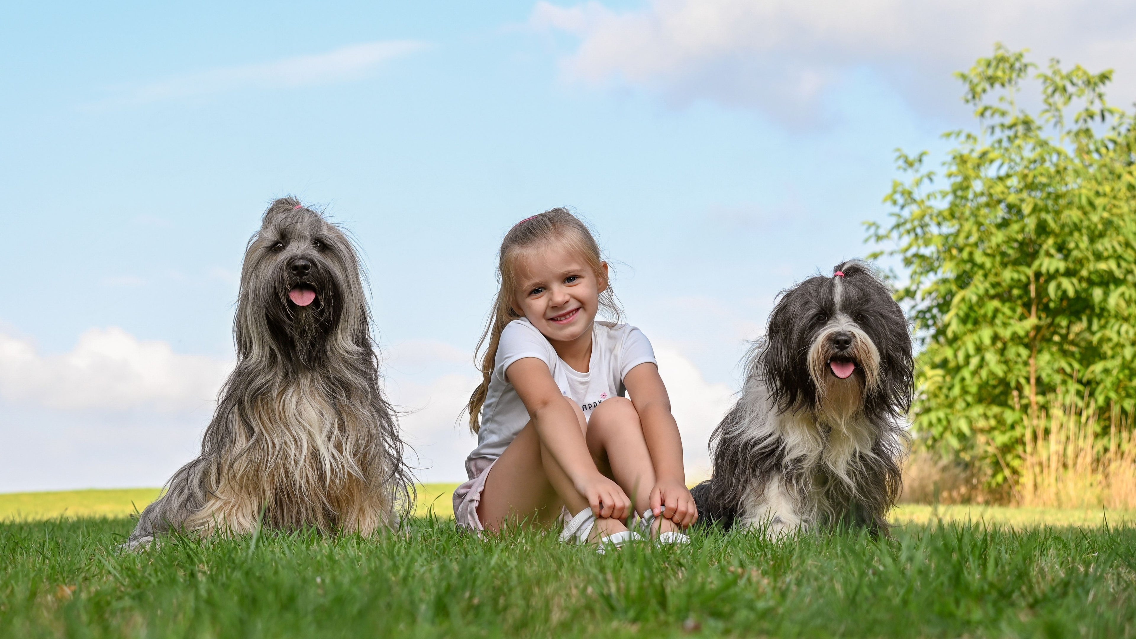 slider image 1621243260e1af0c20-0